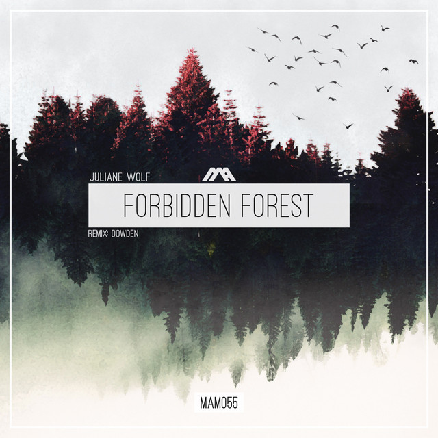 Forbidden Forest - Dowden Remix album art