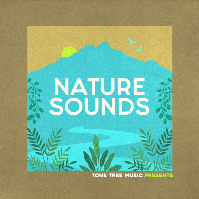 Tone Tree Music Presents: Nature Sounds - Compilation by Various ...