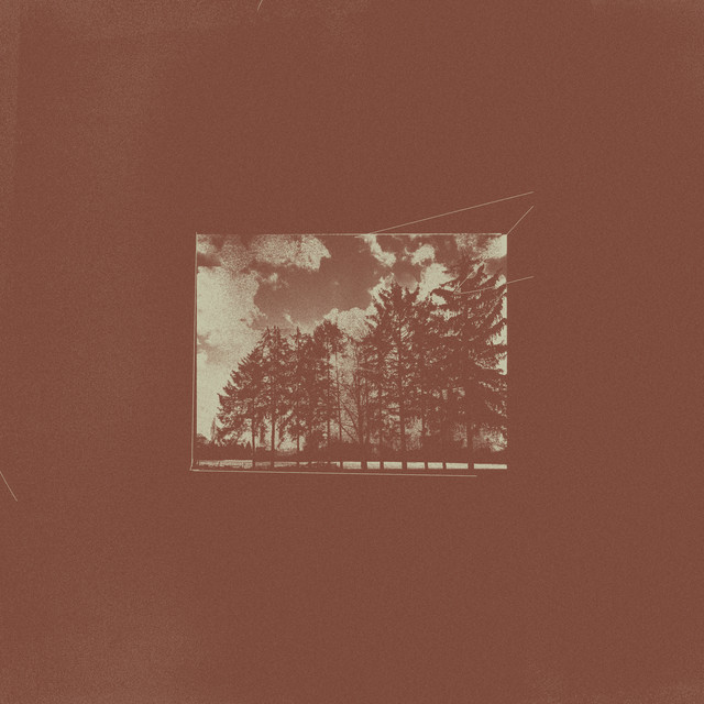 Absolute cover art