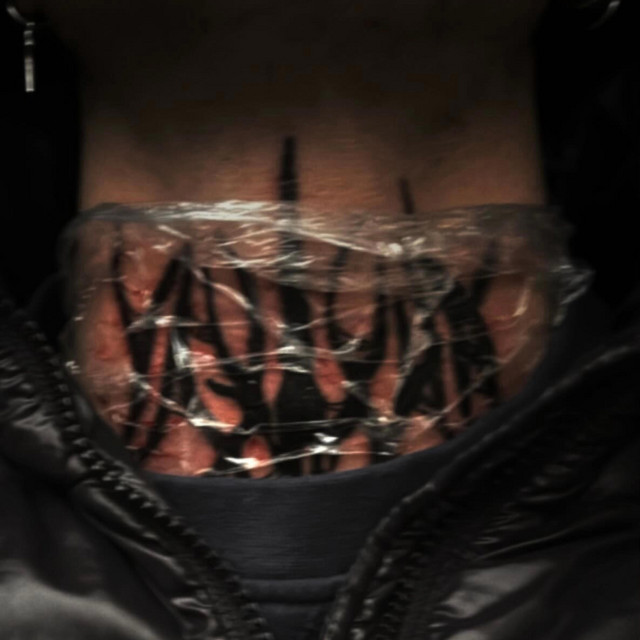 ne mai vedem cover art