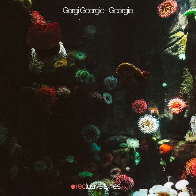 Gorgi Georgie