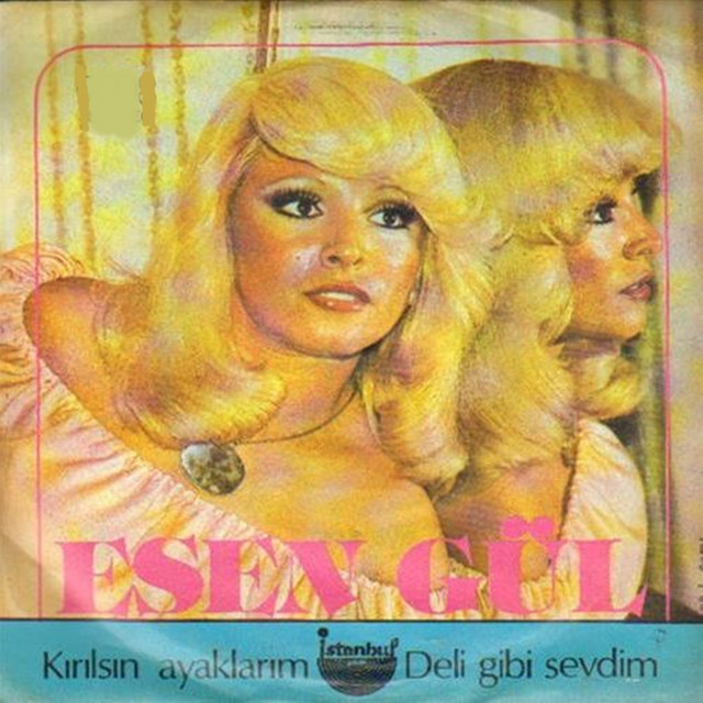 Deli Gibi Sevdim (45'lik) cover