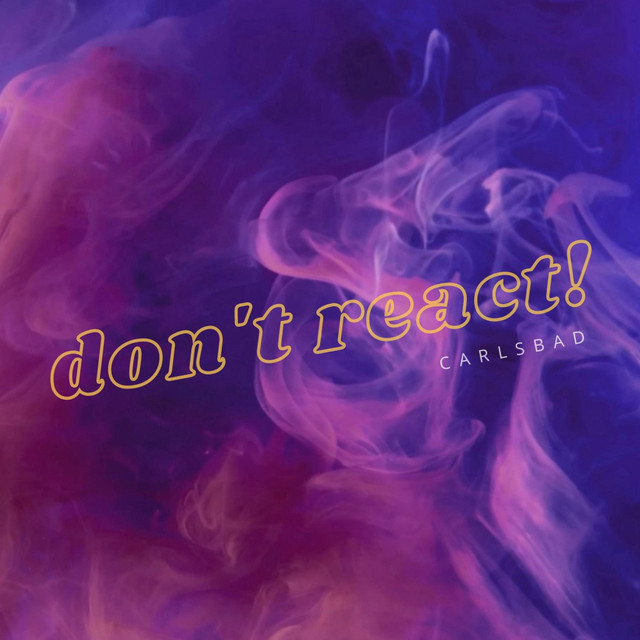 don't react! cover art