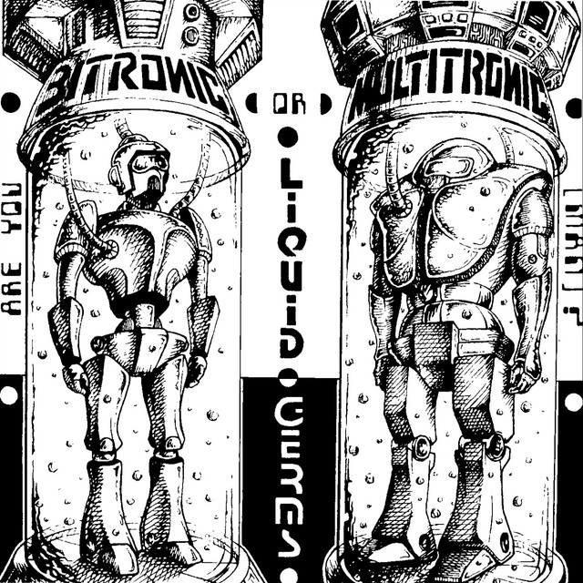 Are You Bitronic or Multitronic (Man)? cover art