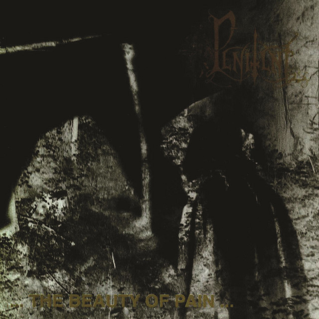 The Beauty of Pain cover art