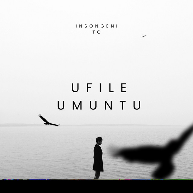 Insongeni Tc