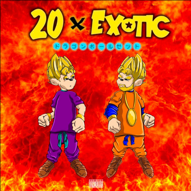 20 X Exotic