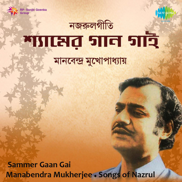 Swapne Dekhechhi cover art