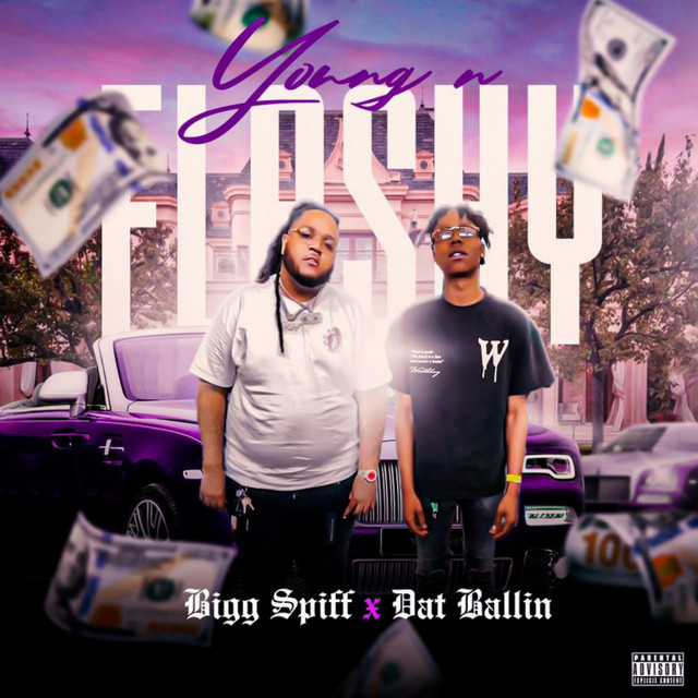 Young N Flashy cover art