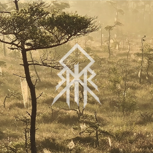 Blóthljóð cover art