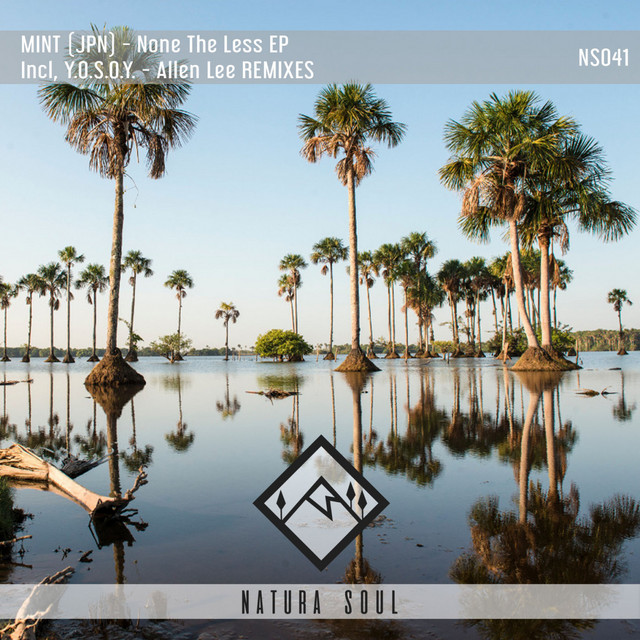 None The Less - Allen Lee Remix cover art