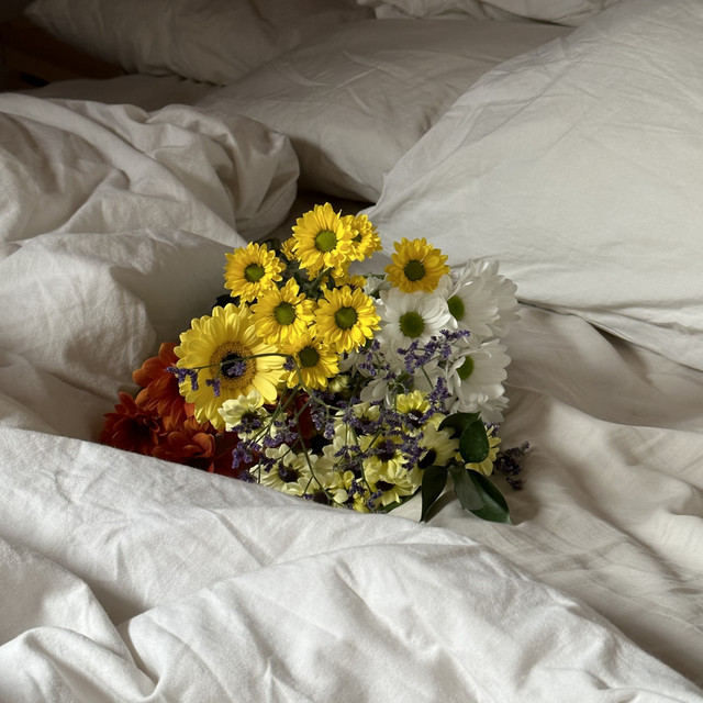 Las flores que me das cover art