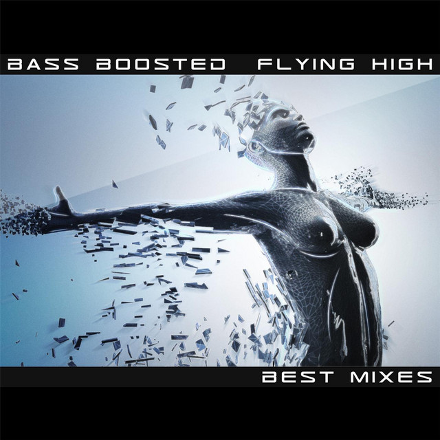 Flying High (Best Mixes) cover art