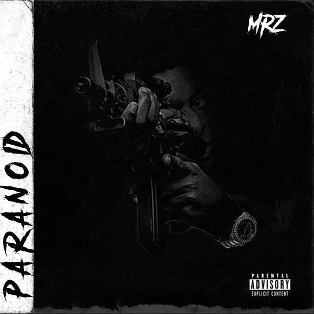 Paranoid cover art