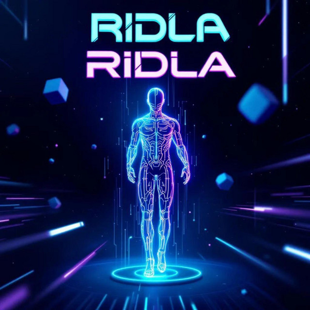 Dont wanna let you down - Single by RIDLA | Spotify