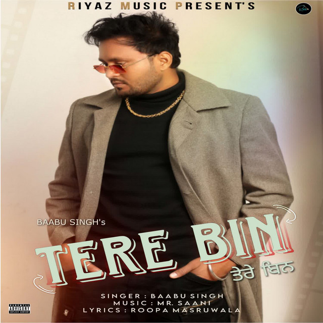 Обкладинка Traditional — Tere Bin