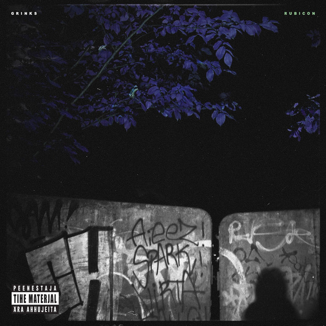 Rubicon cover art