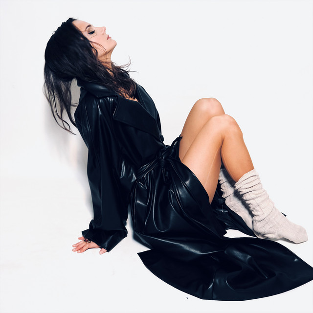 Vice cover