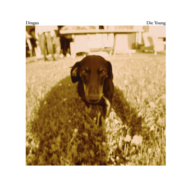 Die Young cover art