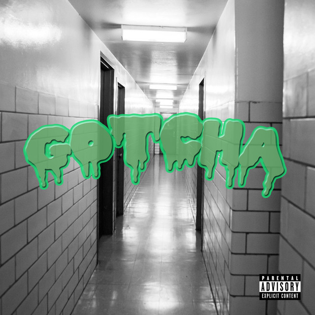 Gotcha cover art