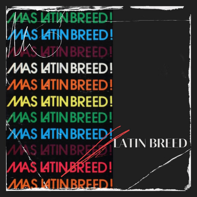 Mas by Latin Breed