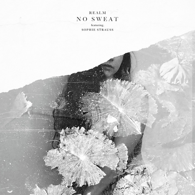 No Sweat cover