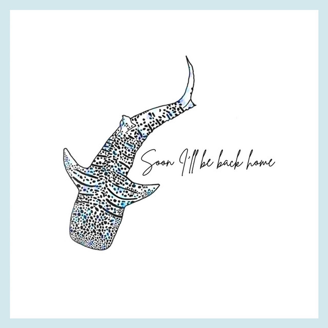 Soon I'll be back home cover art