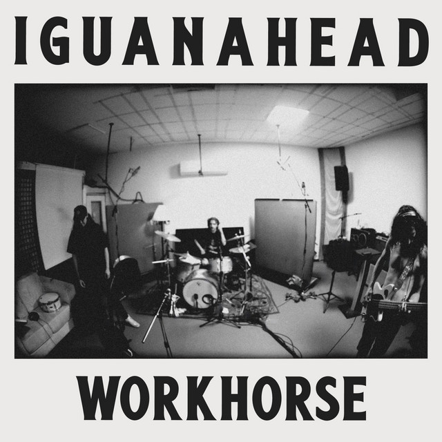 Workhorse cover art