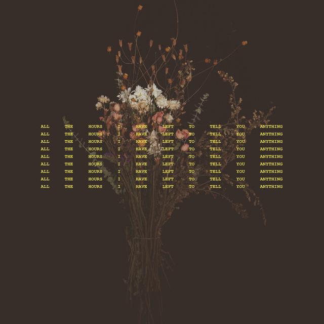 All the Hours I Have Left to Tell You Anything cover art