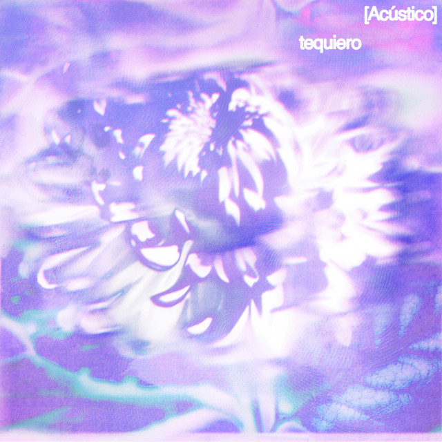 Cover of tequiero (Acústico) by Vicco