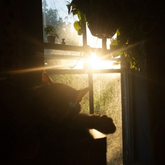 remain cover art