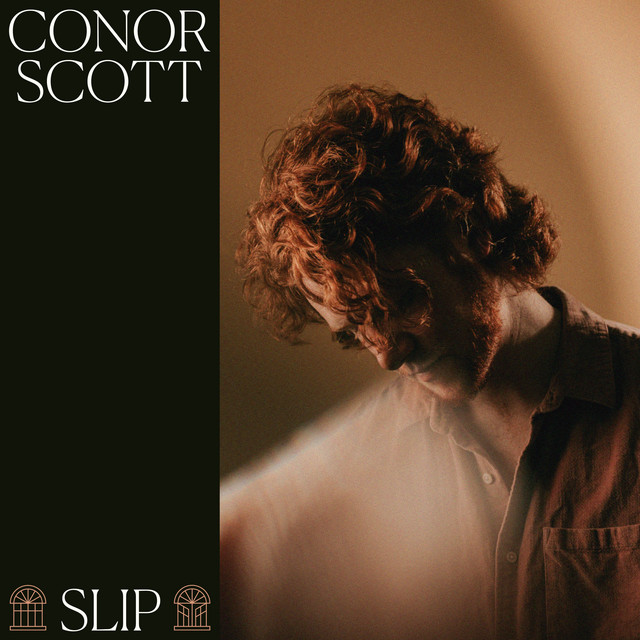 Slip cover