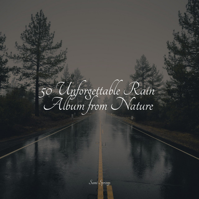 50 Rain Sounds for Sleep and Serenity - Album by Namaste Yoga | Spotify