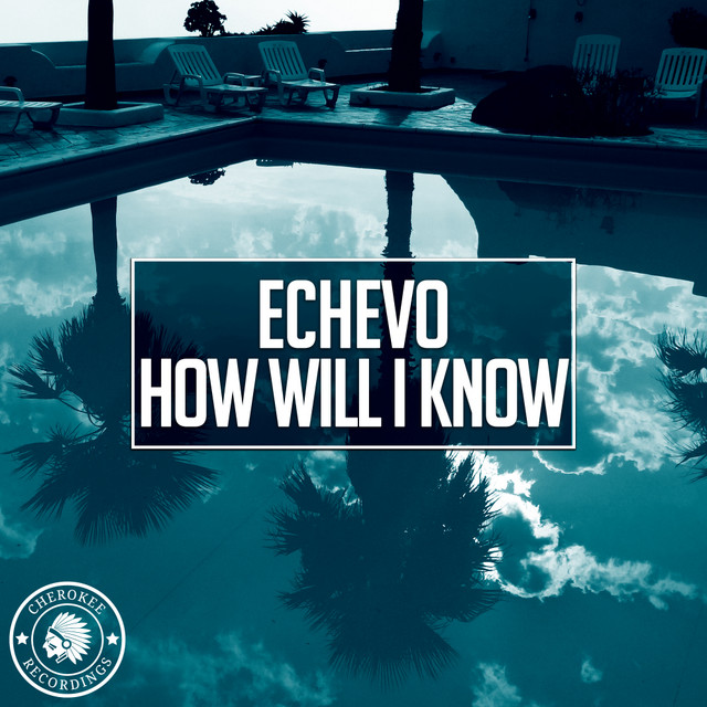 How Will I Know cover