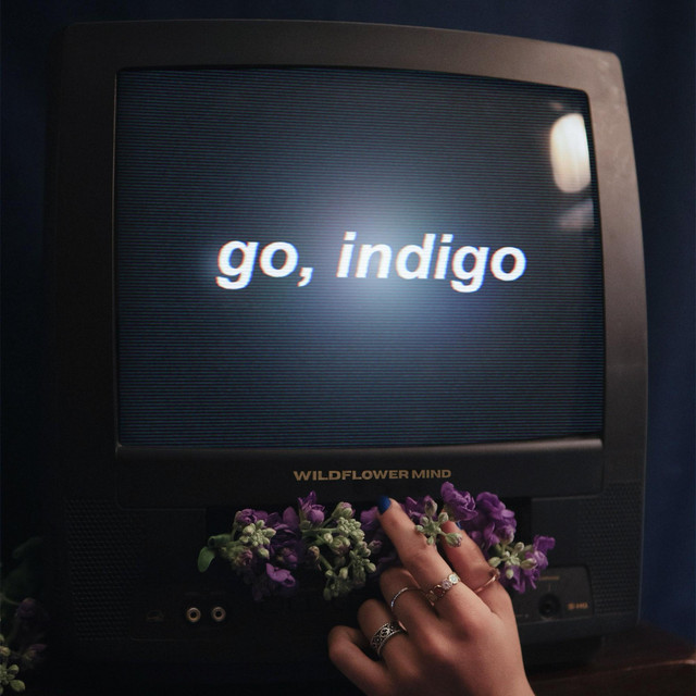 Go, Indigo cover art