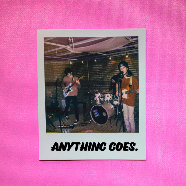 Anything Goes cover art