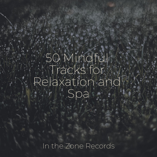 50 Mindful Tracks for Relaxation and Spa - Album by Lullabies for Deep ...