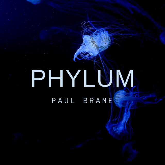 PHYLUM cover art