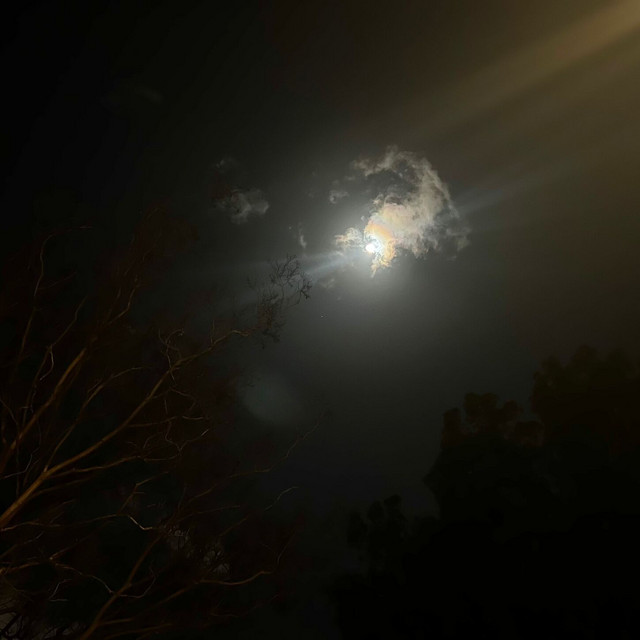 lunar cover art