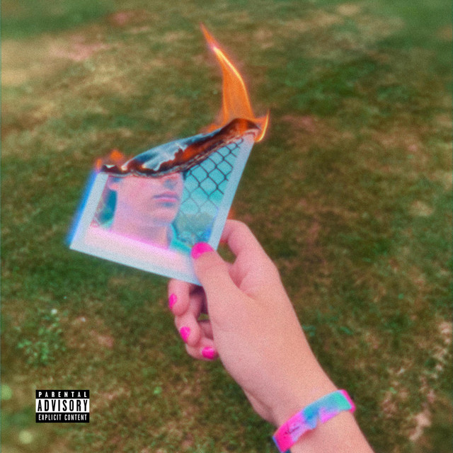 Diary of a Toxic Lover cover art