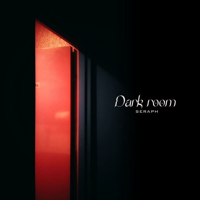 Dark room cover art