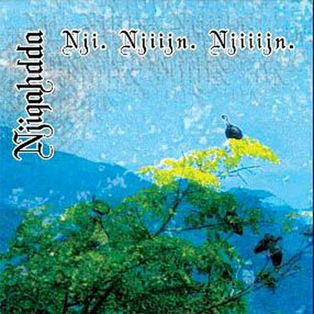 Nji. Njiijn. Njiiijn. cover art