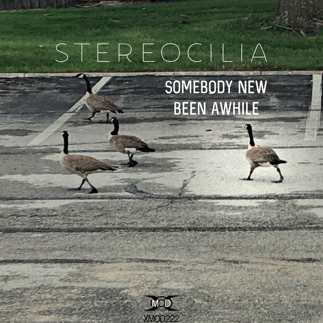 Somebody New album art