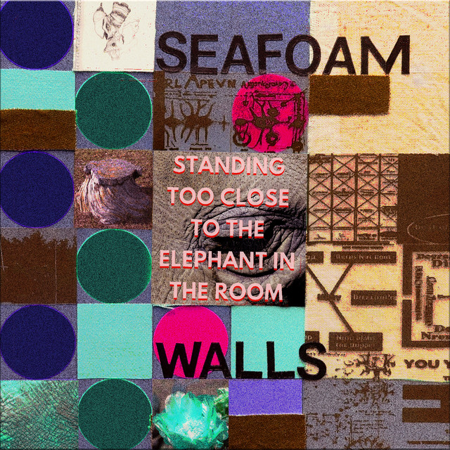 Standing Too Close to the Elephant in the Room cover art