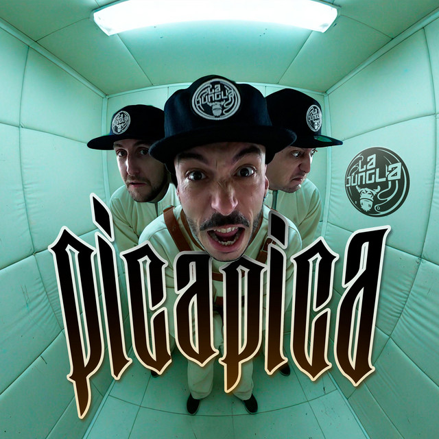 Picapica