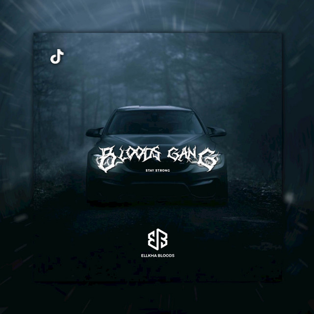 BLOODSGANG PRIDE V1 cover art