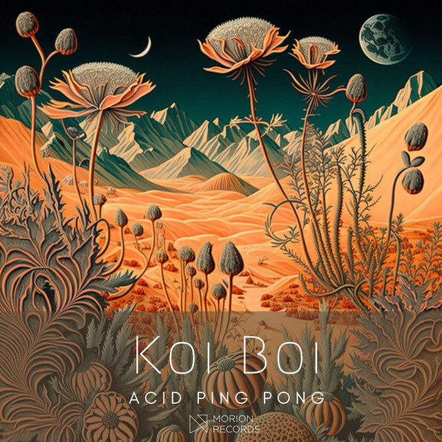 Acid Ping Pong album art