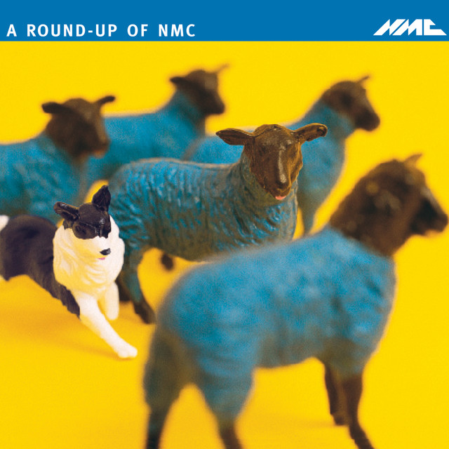 A Round-Up of NMC