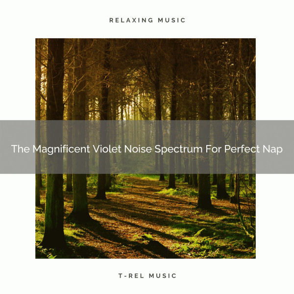 The Magnificent Violet Noise Spectrum For Perfect Nap - EP by Vacuum ...
