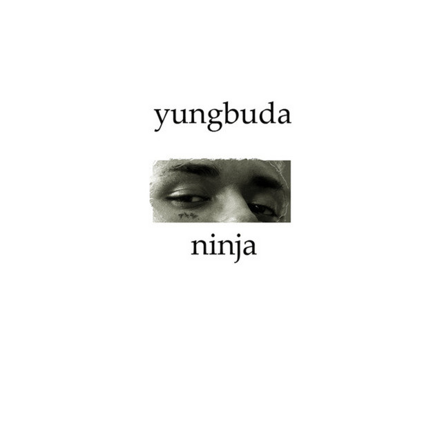 Ninja cover art